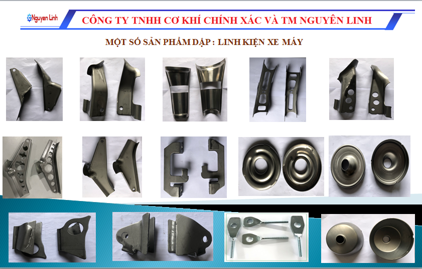 lĩnh vực hoạt động